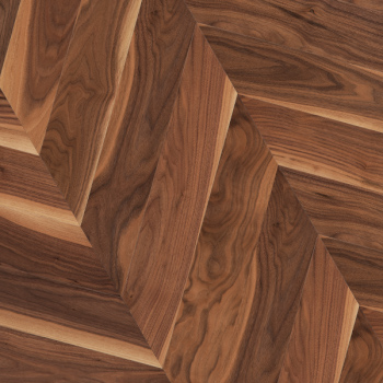 _American-walnut_t